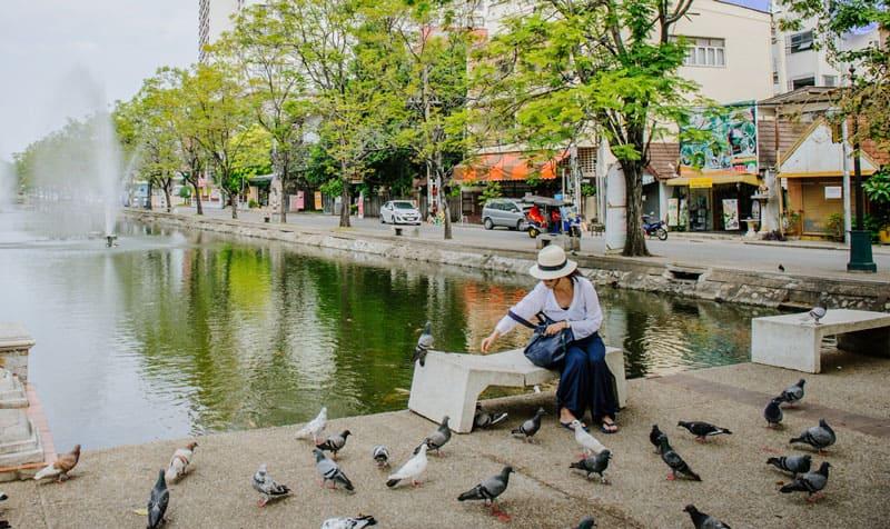 Lady feeding birds in Chiang Mai's old city