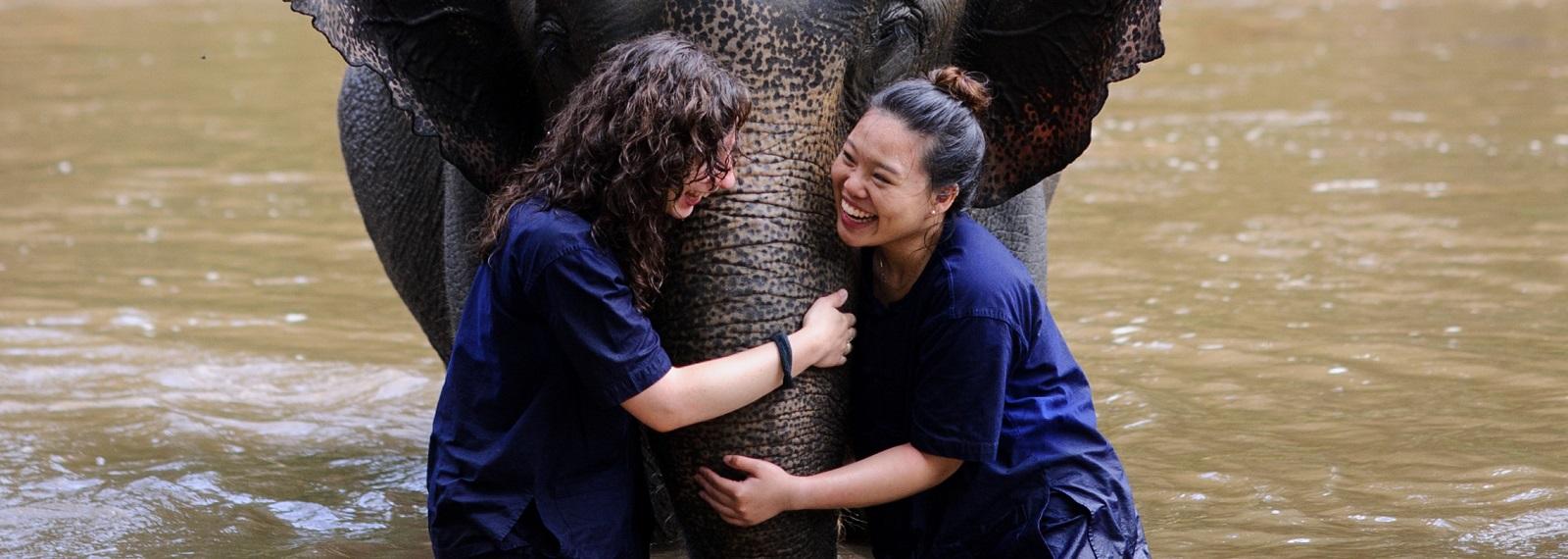 Chiang Mai Volunteer Group #220