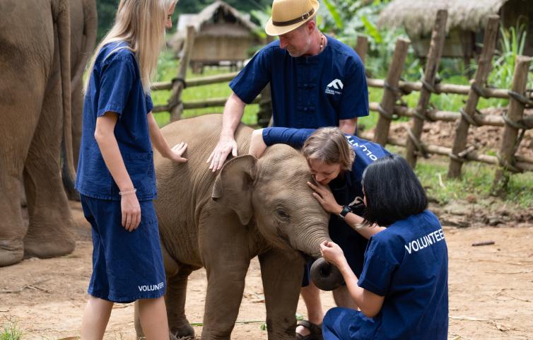 Elephant Camp Volunteer