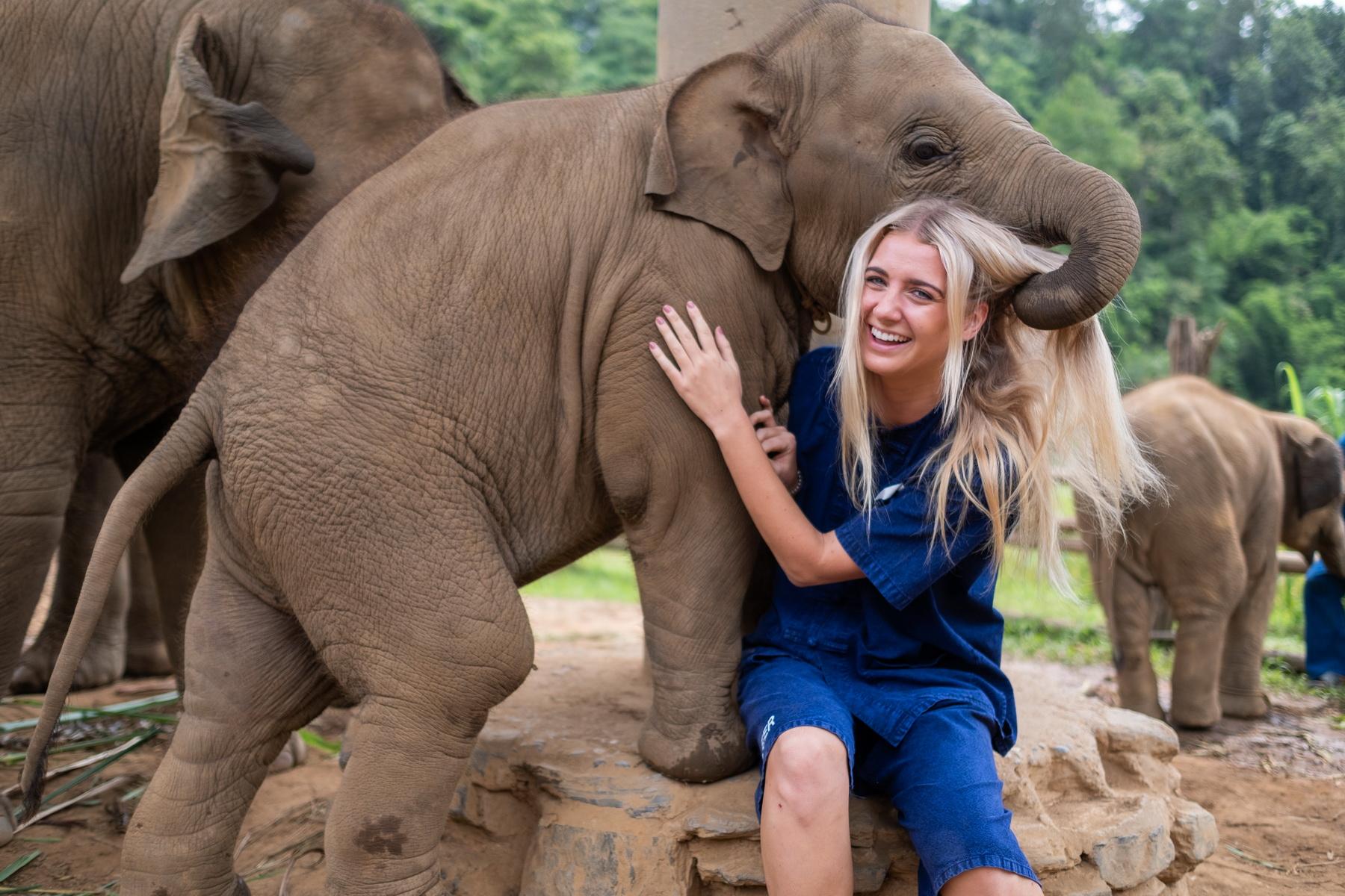 Elephant Camp Volunteer Program in Chiang Mai